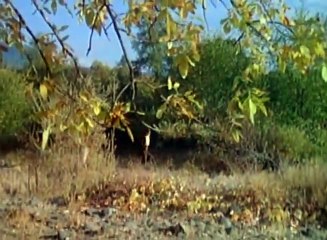 Spirit of the Eagle   Part 01