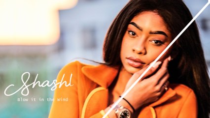 Shashl - Blow It In The Wind (Audio)