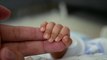 Fécondation in vitro : plus de 8 millions de bébés sont nés grâce à elle