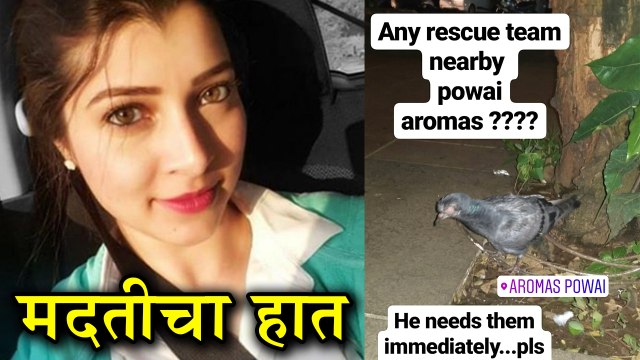 Tejaswini Pandit | अभिनेत्री तेजस्विनी पंडितने वाचवले एका मुक्या जीवाचे प्राण! | Ye re Ye re Paisa