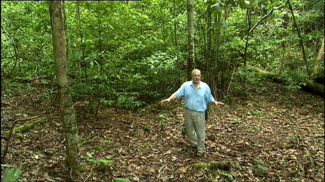David Attenborough - Élet A Növények Között - 04