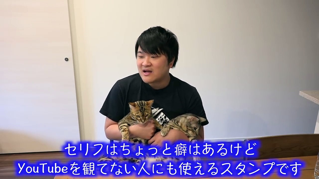 ガチトラウマ！！猫たちに化け物ドッキリしたら予想以上にヤバかった (1)