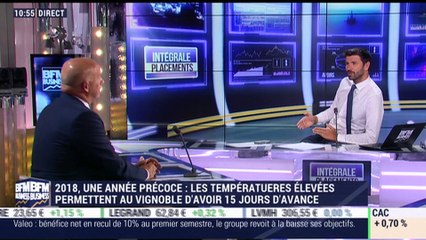 Idées de placements: 2018, une année précoce pour la production de vigne - 26/07