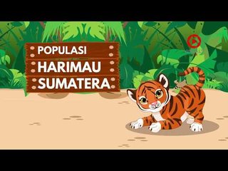 Harimau Sumatera Terancam Punah