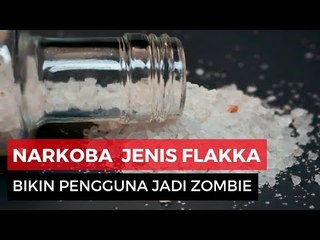 Efek Zombie Narkoba Flakka