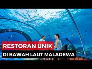 Wow! Restaurant Di Bawah Laut Maldives