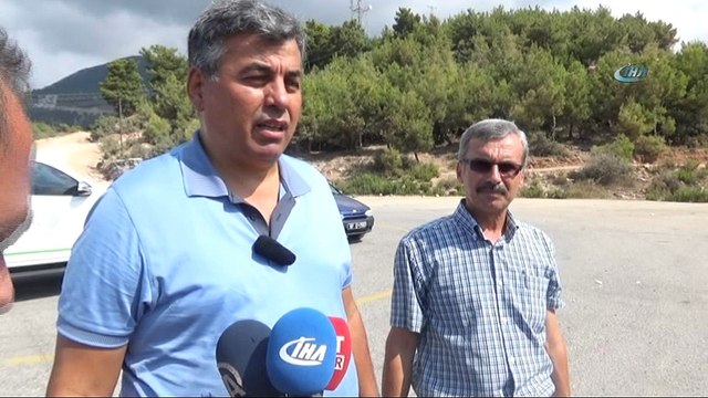 Tedavileri tamamlanan 2 baykuş doğaya salındı