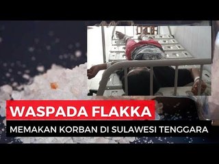 Pelajar SD di Kendari Tewas dan Kejang diduga karena Narkoba Flakka