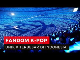 Fandom K-Pop Paling Unik dan Terbesar di Indonesia