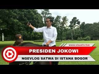 Kegiatan Jokowi dengan Satwa di Istana Bogor