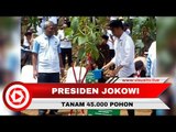 Presiden Jokowi Tanam 45.000 Pohon di Hari Peringatan Menanam Pohon Indonesia