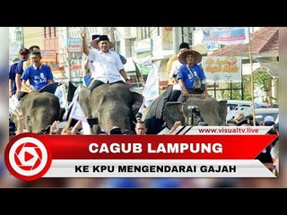 Pasangan Ini Daftar Pilgub Lampung ke KPU Naik Gajah