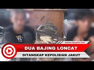Bajing Loncat di Jakarta Utara Ditangkap ketika Sedang Menggasak Isi Truk