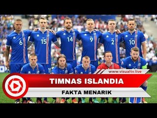 Pelatih adalah Dokter Gigi, Fakta Menarik Timnas Islandia