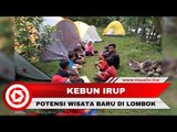 Kebun Irup, Potensi Wisata Halal Terbaru di Pulau Lombok