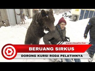 Kaki Sang Pelatih Patah, Beruang Merindukan dan Bantu Dorong Kursi Rodanya