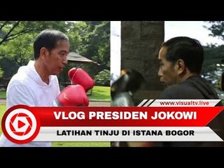 Vlog Jokowi Berlatih Tinju, Bertarung dengan Ajudannya