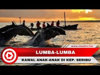 Beruntungnya Anak-anak di Kepulauan Seribu yang Pulang Sekolah Dikawal Lumba-Lumba