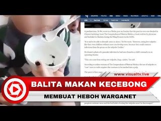 Heboh Ibu Suapi Balita Kecebong Hidup, Ternyata Ini Manfaatnya
