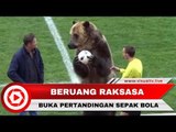Beruang Raksasa yang Membuka Pertandingan Sepak Bola Dikritik Pencinta Hewan