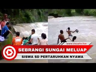 Demi Sekolah, Siswa SD Pertaruhkan Nyawa Menyebrangi Sungai yang Meluap