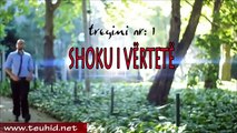 Shoku i Vertet -Video.