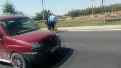 Otomobilin vurup kaçtığı köpeği polis hayata döndürdü