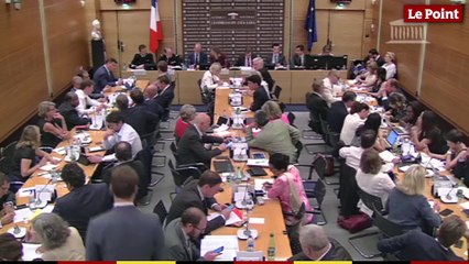 Alain Gibelin et Alexandre Benalla auraient discuté des "équipements" pour la manifestation du 1er mai