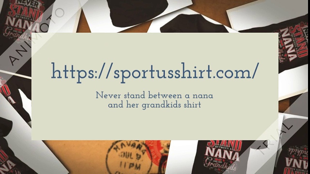 Never stand between a nana and her grandkids shirt