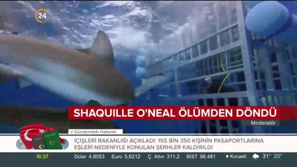 Kafese köpekbalığı girdi