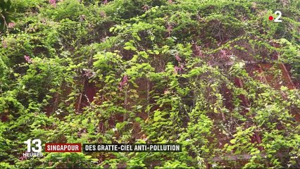 Singapour : des gratte-ciels anti-pollution