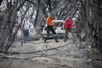 Φωτιά - Συγκλονιστική μαρτυρία: «Έβλεπα τη μητέρα μου να καίγεται»