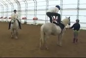 Epic Horse Jump Fail _ Animal Fail _ AFV
