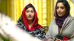 Pakistani Drama | Mere Bewafa - Episode 10 | Aplus Dramas | Agha Ali, Sarah Khan, Zhalay S