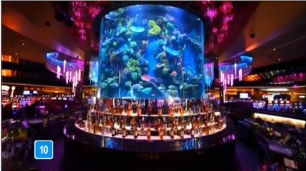 ANIMAL PLANET - INSTINTOS DE SOBREVIVÊNCIA