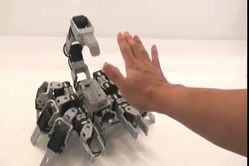Bioloid Scorpion Robot
