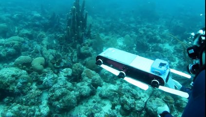 Aqua2 Underwater Robot Navigates in a Coral Reef - Barbados