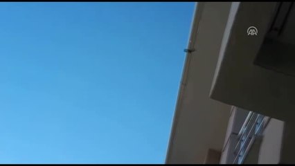 Ayağı İpe Dolanan Kuşu İtfaiye Kurtardı