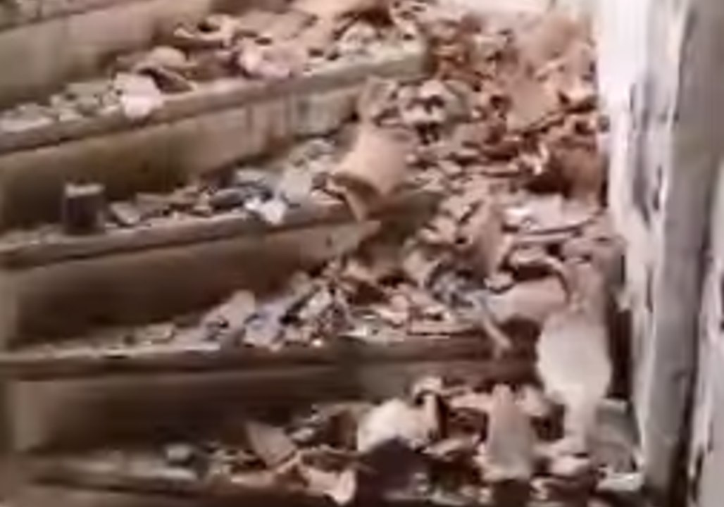 Search for Wildfire Survivors Continues in Burned-Out Greek Homes