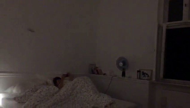 Invasions de chauve-souris dans un hotel à Berlin !