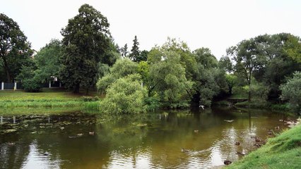 Des dissidents russes trouvent refuge en Lituanie