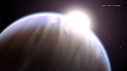 Scientists Find 'Puffy' Exoplanets with the Density of Cotton Candy