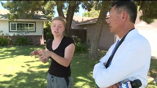 7-Month-Old Husky Recovering After Being Shot with Arrow