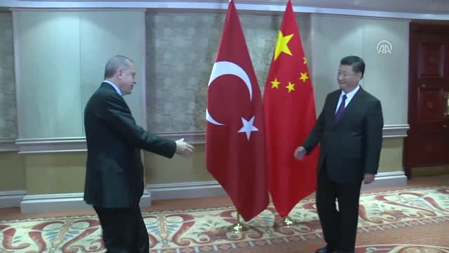 Erdoğan-Cinping Görüşmesi (2) - Johannesburg