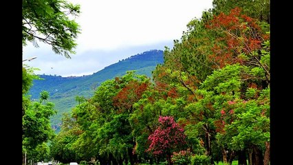 Dünya Lideri Atatürk'ün, Dünyanın Dört Bir Tarafında İsminin