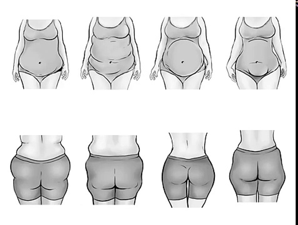 What Body Type and Belly Shape Are You_  How Hormones Distort The Way Look