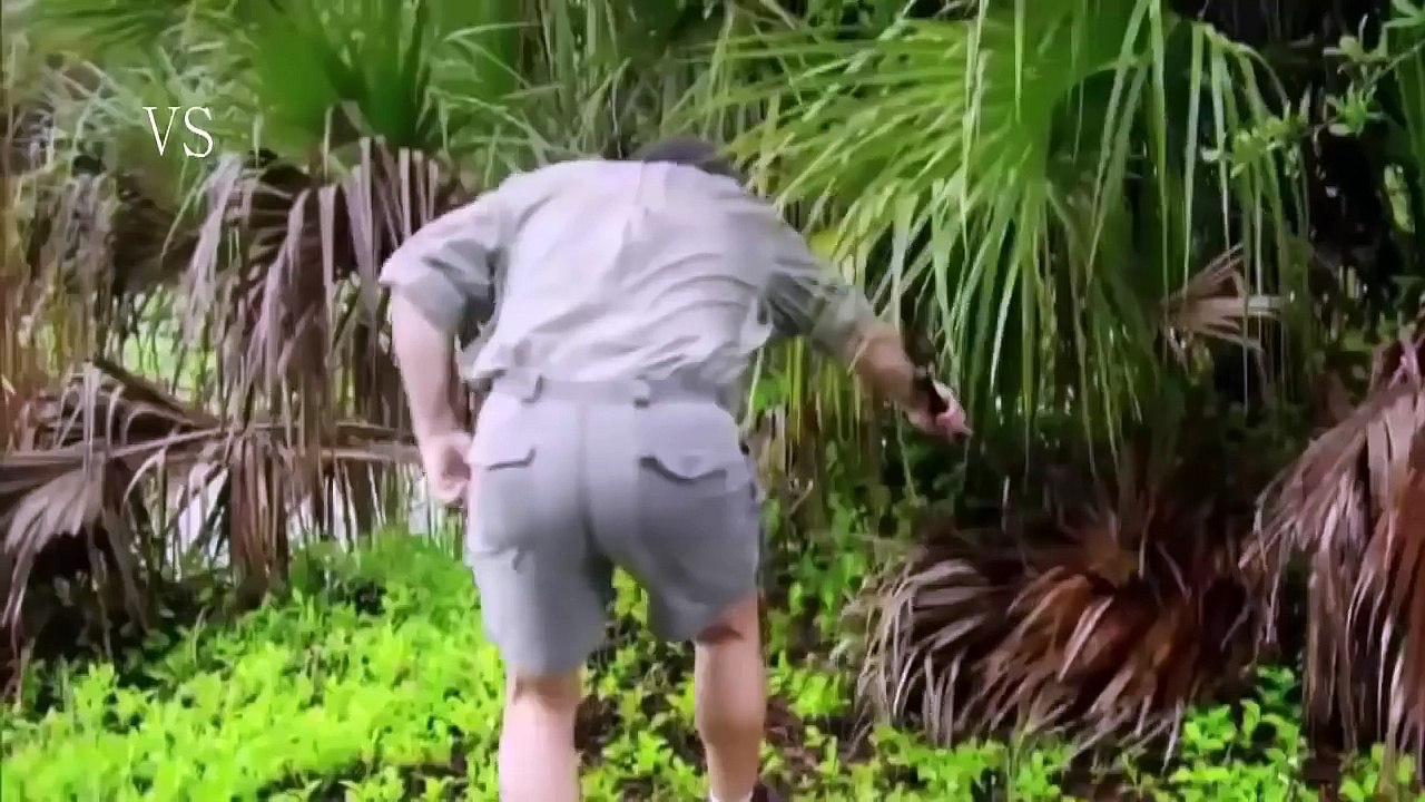 OS ANIMAIS PERIGOSOS - Sensores de Caça