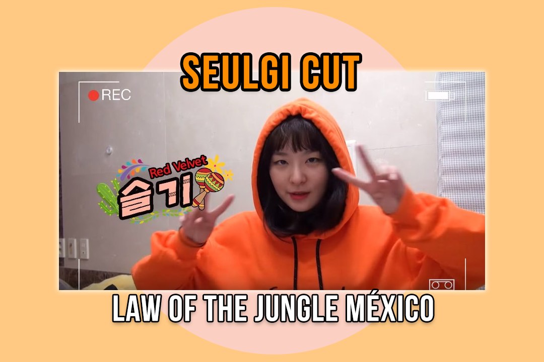 [SUB ESP] 180629 Law Of The Jungle (LOTJ) Seulgi Self-Cam