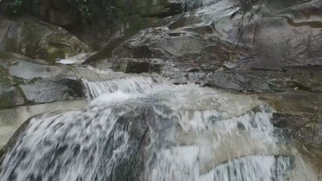 Chocó se convierte en la séptima reserva de la biosfera ecuatoriana por la Unesco