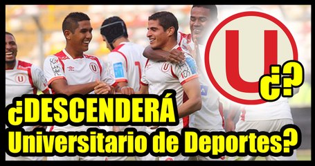 Adolfo Palao: Si Universitario salva la categoría será porque hay peores equipos.